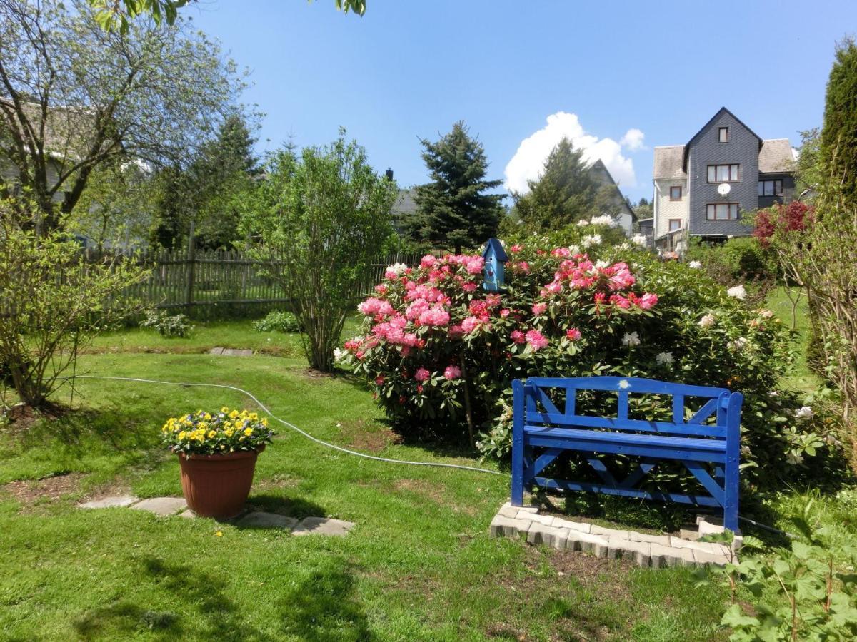 Apartment In Thuringian Forest With Garden Oberweißbach Kültér fotó