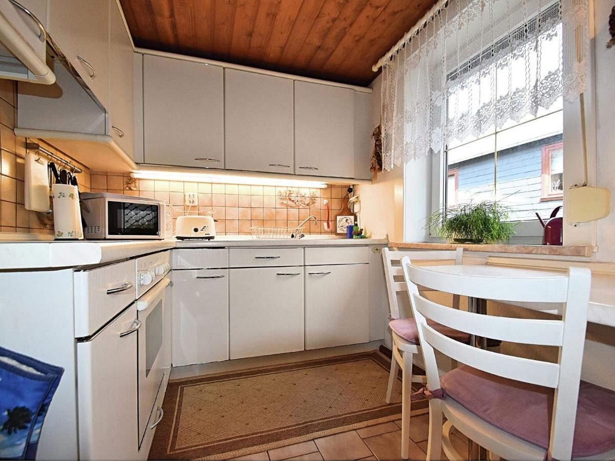 Apartment In Thuringian Forest With Garden Oberweißbach Kültér fotó