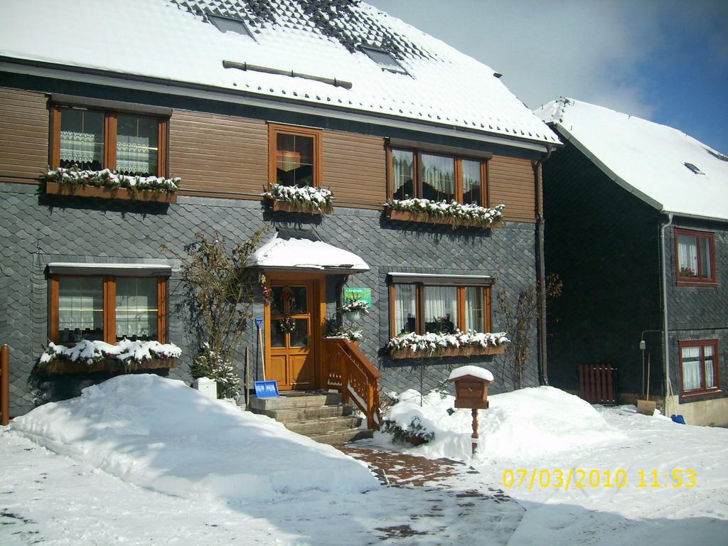 Apartment In Thuringian Forest With Garden Oberweißbach Kültér fotó